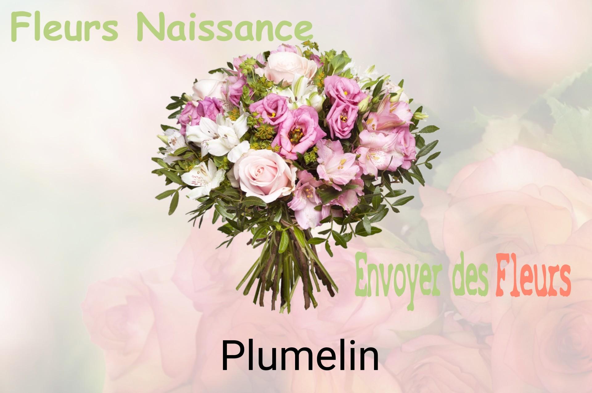 Bouquet de fleurs de naissance livré à Plumelin
